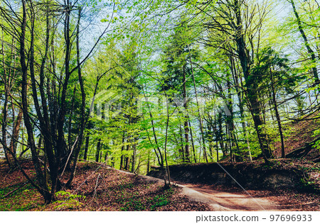 克羅地亞世界遺產Plitvice湖國家公園 97696933