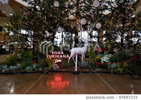 Roadside Station "Makuraganosato Koga" ~ Christmas "Yukihana Tree" (3) Roadside Station "Makuraganosato Koga" ~ Christmas "Yukihana Tree" (3) 97697235