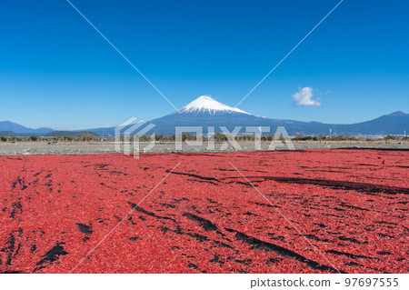 Sakura Shrimp Sun-dried Mt. Fuji 97697555