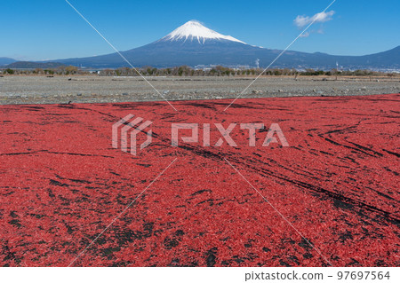 櫻花蝦曬乾富士山 97697564