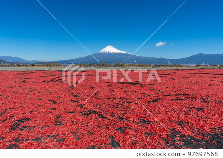 櫻花蝦曬乾富士山 97697568