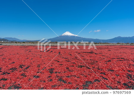 櫻花蝦曬乾富士山 97697569