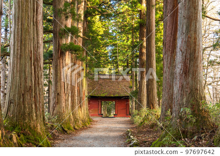 《長野縣》前往Togakure的一排雪松 《長野縣》前往Togakure的一排雪松 97697642
