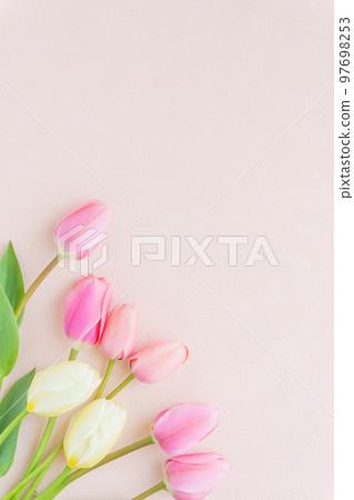 Tulip flower frame | Vertical composition 97698253