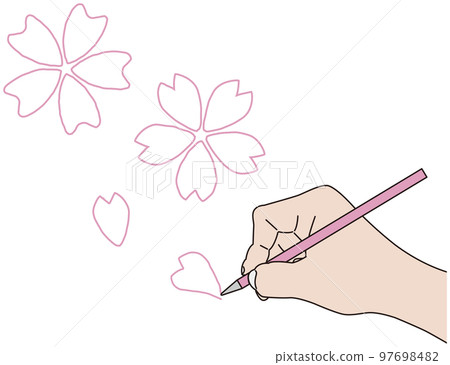 drawing cherry blossoms with a pen 97698482