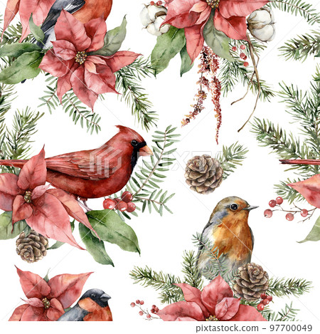 Watercolor Christmas seamless pattern of birds and flowers. Hand painted poinsettia, pine cone and fir branch isolated on white background. Holiday illustration for design, print, fabric, background. Watercolor Christmas seamless pattern of birds and flowers. Hand painted poinsettia, pine cone and fir branch isolated on white background. Holiday illustration for design, print, fabric, background. 97700049