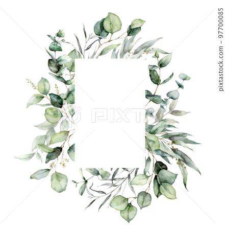 Watercolor vertical frame of eucalyptus branches, seeds and leaves. Hand painted card of silver dollar plants isolated on white background. Floral illustration for design, print, fabric or background. Watercolor vertical frame of eucalyptus branches, seeds and leaves. Hand painted card of silver dollar plants isolated on white background. Floral illustration for design, print, fabric or background. 97700085