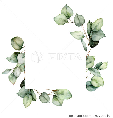 Watercolor floral frame of eucalyptus branches,... - Stock Illustration ...