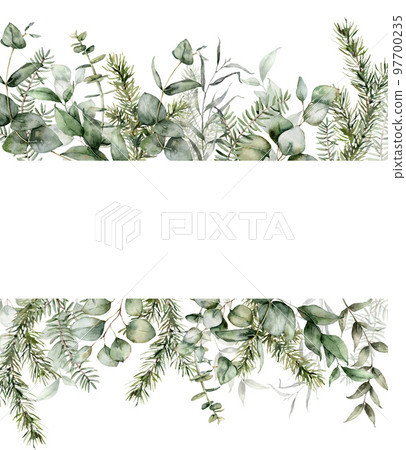 Watercolor Christmas banner with fir and eucalyptus branches. Hand painted holiday plants isolated on white background. Floral illustration for design, print, fabric or background. Watercolor Christmas banner with fir and eucalyptus branches. Hand painted holiday plants isolated on white background. Floral illustration for design, print, fabric or background. 97700235