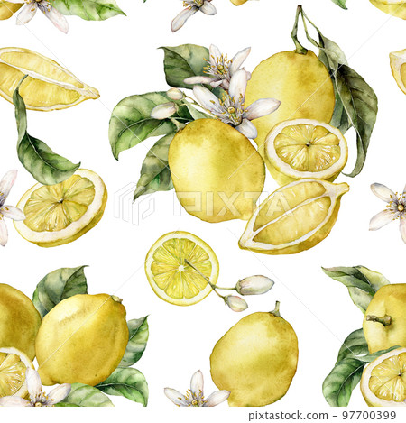 Watercolor seamless pattern of blooming flowers, ripe lemons and leaves. Hand painted fresh fruits isolated on white background. Tasty food illustration for design, print, fabric or background. 97700399