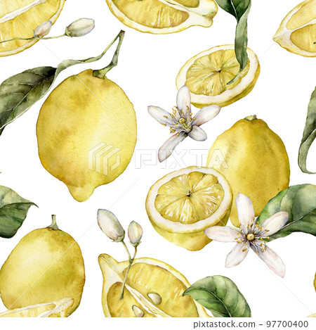 Watercolor seamless pattern of ripe lemons, leaves and blooming flowers. Hand painted fresh fruits isolated on white background. Tasty food illustration for design, print, fabric or background. Watercolor seamless pattern of ripe lemons, leaves and blooming flowers. Hand painted fresh fruits isolated on white background. Tasty food illustration for design, print, fabric or background. 97700400