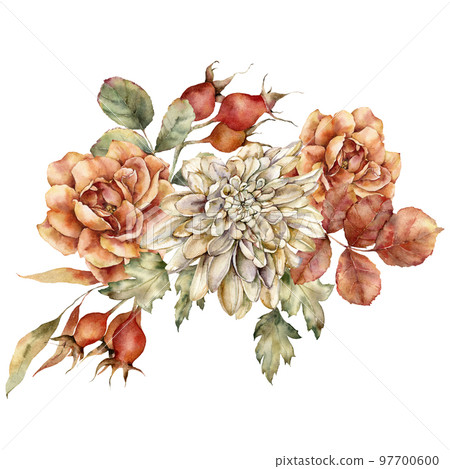 Watercolor autumn bouquet of dahlia, rose and leaves. Hand painted meadow flowers isolated on white background. Floral wild illustration for design, print, fabric or background. 97700600