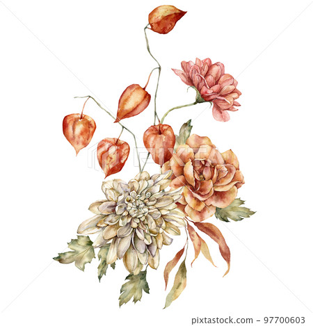 Watercolor autumn bouquet of dahlia, rose, physalis and leaves. Hand painted meadow flowers isolated on white background. Floral wild illustration for design, print, fabric or background. Watercolor autumn bouquet of dahlia, rose, physalis and leaves. Hand painted meadow flowers isolated on white background. Floral wild illustration for design, print, fabric or background. 97700603