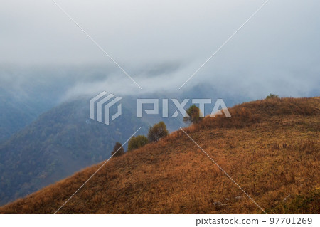 Soft focus. Atmospheric misty landscape with fuzzy silhouettes of trees on autumn grass rocks in low clouds during rain. Dramatic view to large mountains blurred in rain haze in gray low clouds. 97701269