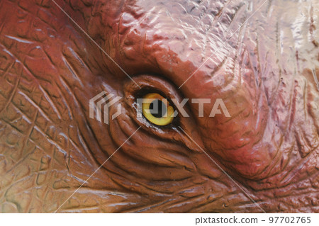 The dinosaur eye pupil close up yellow eyes. 97702765