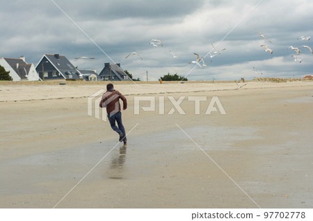 The man runs away. Group of seagull birds. 97702778