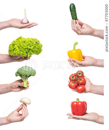 fresh assorted organic vegetables in hand isolated on white background fresh assorted organic vegetables in hand isolated on white background 97703000