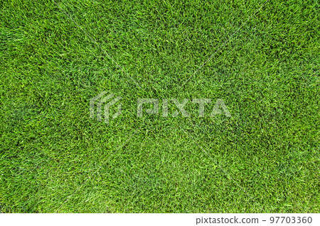 Perfectly trimmed green grass lawn texture, background, top view. Perfectly trimmed green grass lawn texture, background, top view. 97703360