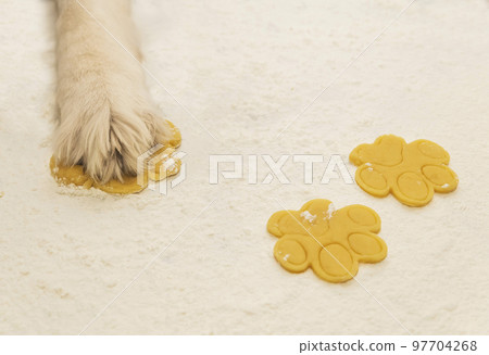 Dog chef makes cookies from dough in the kitchen 97704268