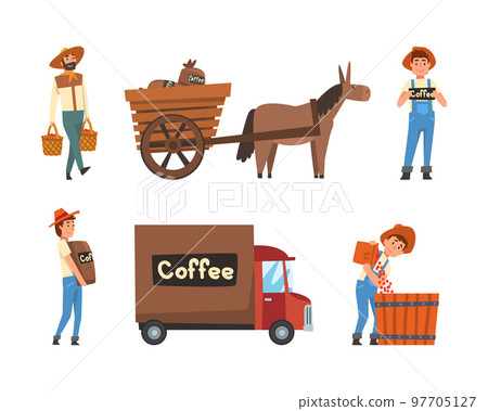 Coffee Production with Man Farmer with Ripe Berry in Basket and Beans in Sack Vector Set Coffee Production with Man Farmer with Ripe Berry in Basket and Beans in Sack Vector Set 97705127