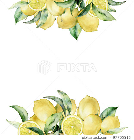 Citrus Exotic Bouquet