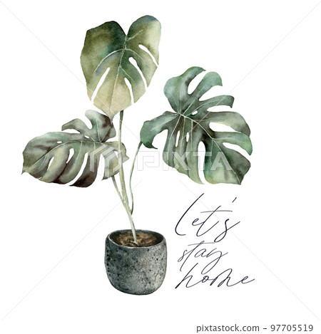 Watercolor Lets stay home card with monstera. Isolation during an epidemic. Hand painted exotic plant with pot isolated on white background. Floral illustration for design, print or background. 97705519