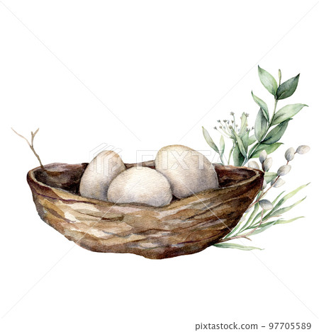 Watercolor card with nest, eggs and floral decor. Hand painted composition with nest and willow branch isolated on a white background. Spring wildlife illustration for design, print or background. 97705589