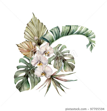 Watercolor bouquet with orchids, monstera, palm and banana leaves. Hand painted tropical card with flowers and branch isolated on white background. Floral illustration for design, print or background. 97705594