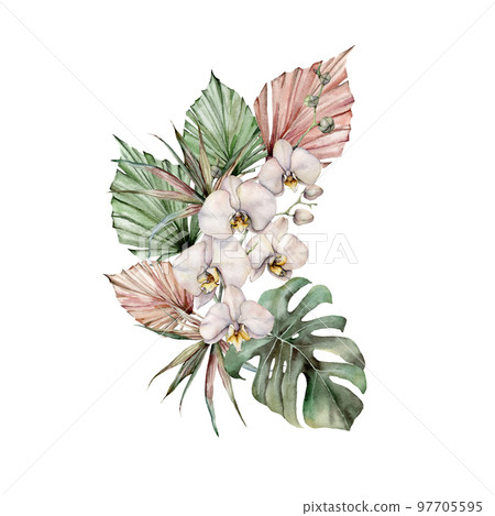 Watercolor bouquet with orchids, monstera and dry leaves. Hand painted tropical card with flowers and palm branch isolated on white background. Floral illustration for design, print or background. 97705595