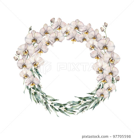 Watercolor eucalyptus and flowering orchid wreath. Hand painted tropical flowers, branches and leaves isolated on white background. Floral illustration for design, print or background. Watercolor eucalyptus and flowering orchid wreath. Hand painted tropical flowers, branches and leaves isolated on white background. Floral illustration for design, print or background. 97705598