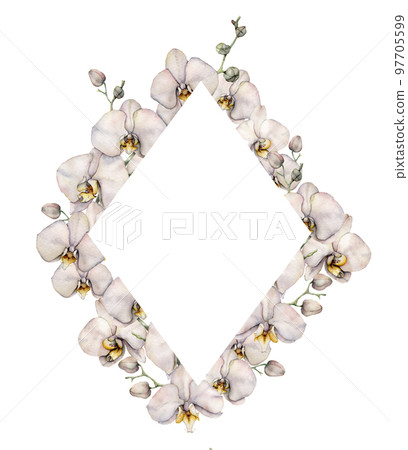 Watercolor flowering orchid frame. Hand painted tropical flowers and buds isolated on white background. Floral illustration for design, print or background. Template for summer card. Watercolor flowering orchid frame. Hand painted tropical flowers and buds isolated on white background. Floral illustration for design, print or background. Template for summer card. 97705599