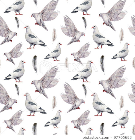 Watercolor seamless pattern with a white dove. Hand painted pigeon bird isolated on white background. Easter illustration for design, print, fabric or background. Spring bird. Watercolor seamless pattern with a white dove. Hand painted pigeon bird isolated on white background. Easter illustration for design, print, fabric or background. Spring bird. 97705693