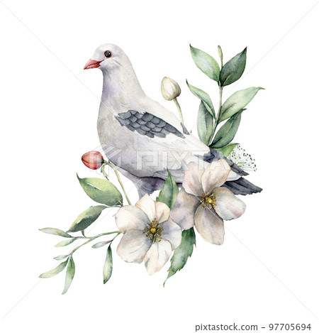 Watercolor spring illustration with a bouquet of anemones and dove. Hand-painted birds and flowers isolated on white background. Wildlife scene for design, print, fabric. Easter card template. 97705694
