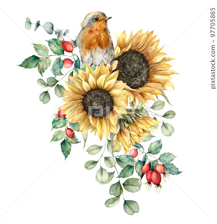 Watercolor autumn bouquet with robin redbreast, sunflowers, leaves and dogroses. Hand painted rustic card isolated on white background. Floral illustration for design, print, fabric or background. 97705865