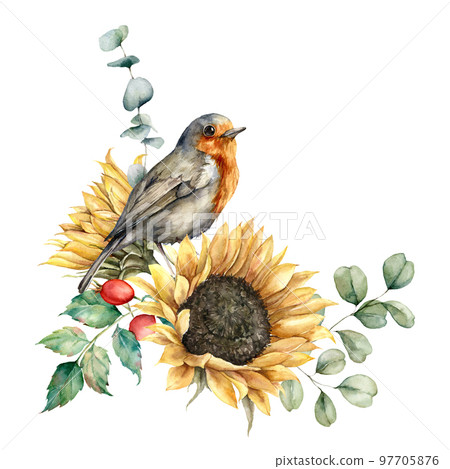 Watercolor autumn bouquet with redbreast, sunflowers, berries and eucalyptus leaves. Hand painted rustic card isolated on white background. Floral illustration for design, print, fabric or background. 97705876