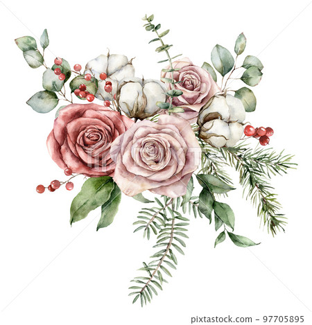 Watercolor Christmas bouquet with pink roses, cotton, fir and eucalyptus branches. Hand painted holiday card with flowers isolated on white background. Illustration for design, print or background. 97705895