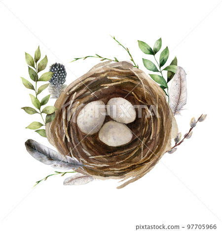 Watercolor easter card with birds nest and branch. Hand painted spring nest with eggs, feathers and willow isolated on white background. Holiday wildlife illustration for design, print or background. 97705966