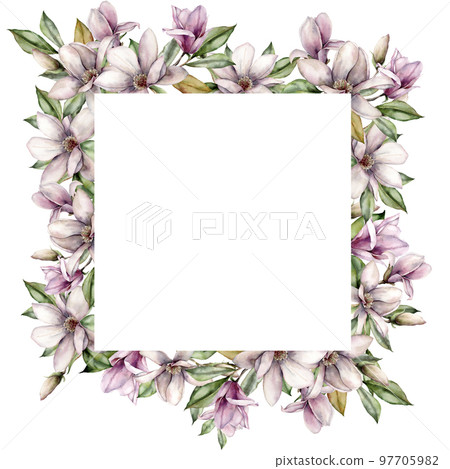 Watercolor square border with magnolias, buds and leaves. Hand painted floral frame with flowers isolated on white background. Holiday spring illustration for design, print, fabric or background. 97705982