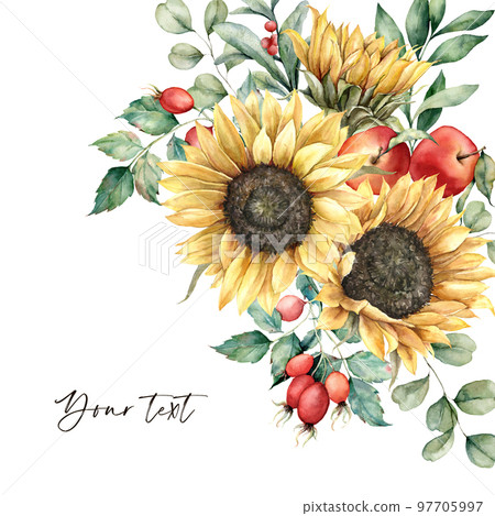 Watercolor autumn greeting card with sunflowers, leaves, apples and rose hips. Hand painted rustic composition isolated on white background. Floral illustration for design, print, fabric, background. Watercolor autumn greeting card with sunflowers, leaves, apples and rose hips. Hand painted rustic composition isolated on white background. Floral illustration for design, print, fabric, background. 97705997