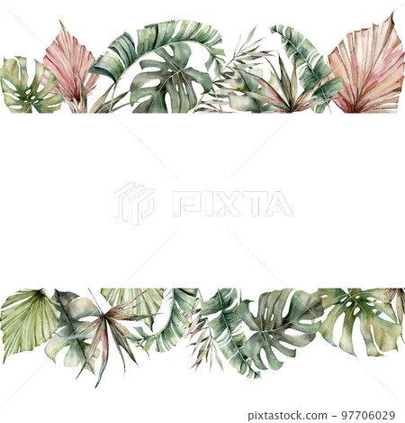 Watercolor tropical border with palm and mostera leaves. Hand painted banner with exotic greenery isolated on white background. Floral illustration for design, print or background. Summer frame. 97706029