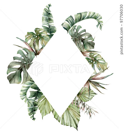 Watercolor tropical frame with palm leaves. Hand painted card with monstera, banana and coconut branches isolated on white background. Floral illustration for design, print, fabric or background. Watercolor tropical frame with palm leaves. Hand painted card with monstera, banana and coconut branches isolated on white background. Floral illustration for design, print, fabric or background. 97706030