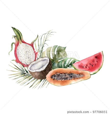 Watercolor composition with tropical fruits. Hand painted papaya, coconut, dragon fruit, watermelon and palm leaves isolated on white background. Floral illustration for design, print or background. Watercolor composition with tropical fruits. Hand painted papaya, coconut, dragon fruit, watermelon and palm leaves isolated on white background. Floral illustration for design, print or background. 97706031