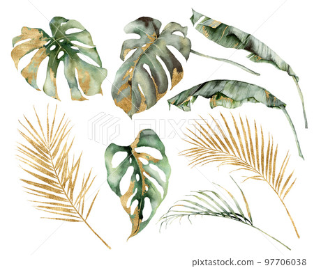 Watercolor tropical set with banana, palm and monstera golden leaves. Hand painted branches and twigs isolated on white background. Floral jungle illustration for design, print or background. 97706038