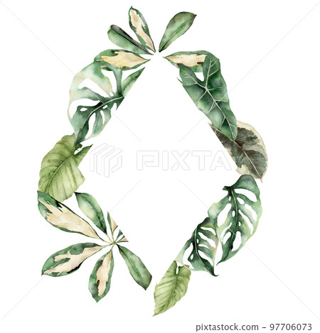 Watercolor tropical frame with monstera, adansonii and philodendron leaves. Hand painted card with palm leaves isolated on white background. Floral illustration for design, print or background. Watercolor tropical frame with monstera, adansonii and philodendron leaves. Hand painted card with palm leaves isolated on white background. Floral illustration for design, print or background. 97706073