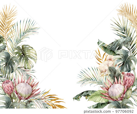 Watercolor tropical frame with protea, orchids and palm leaves. Hand painted tropical card with monstera and flowers isolated on white background. Floral illustration for design, print or background. Watercolor tropical frame with protea, orchids and palm leaves. Hand painted tropical card with monstera and flowers isolated on white background. Floral illustration for design, print or background. 97706092