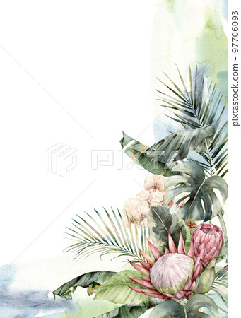 Watercolor tropical frame with orchids, protea and palm leaves. Hand painted tropical card with monstera and flowers isolated on white background. Floral illustration for design, print or background. 97706093