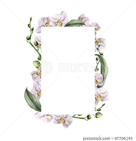 Watercolor vertical frame with white orchids. Hand painted tropical border with flowers, leaves and buds isolated on white background. Floral illustration for design, print, background. 97706145
