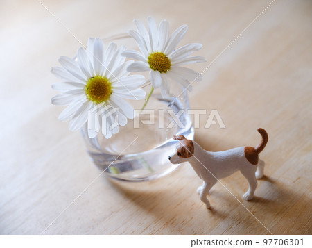 Dog figure and white flowers 97706301