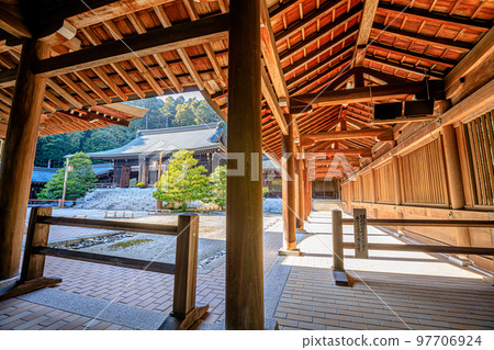 Omi Shrine in autumn Otsu City, Shiga Prefecture Omi Shrine in autumn Otsu City, Shiga Prefecture 97706924