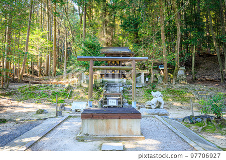 Omi Shrine in autumn Otsu City, Shiga Prefecture Omi Shrine in autumn Otsu City, Shiga Prefecture 97706927